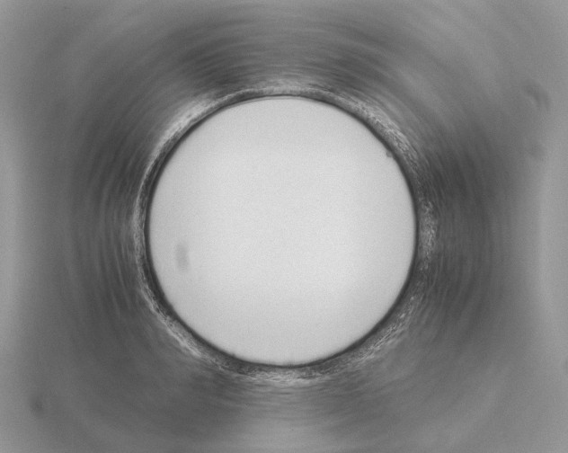 X0000115350990200912151332