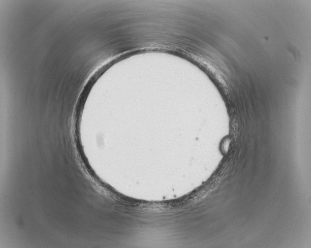 X0000115350991200912151332