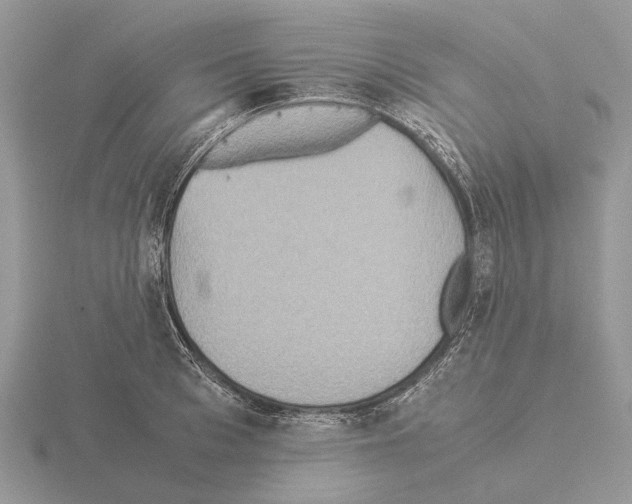 X0000115350993200912151332