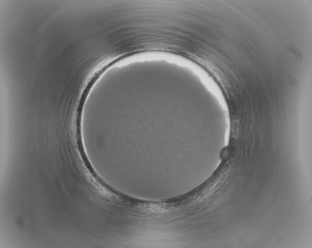 X0000115350995200912151332