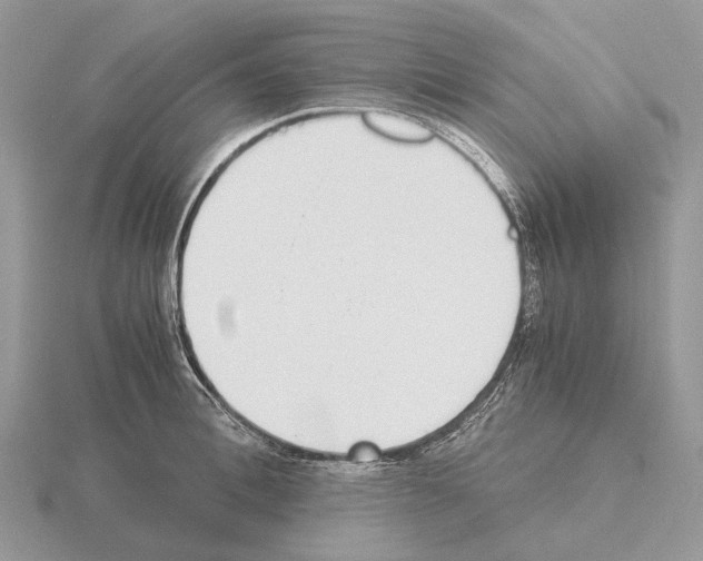 X0000115350996200912151332