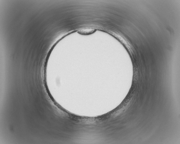 X0000115350999200912151332