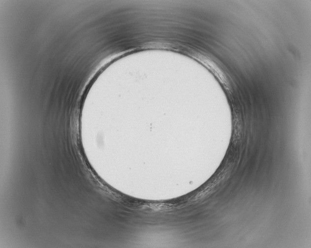 X0000115351000200912151332