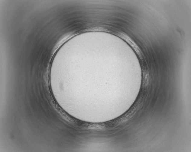 X0000115351002200912151332