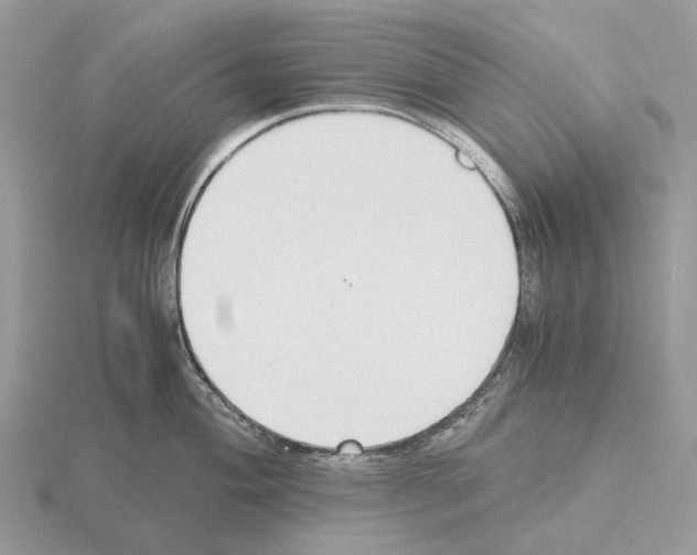 X0000115351004200912151332