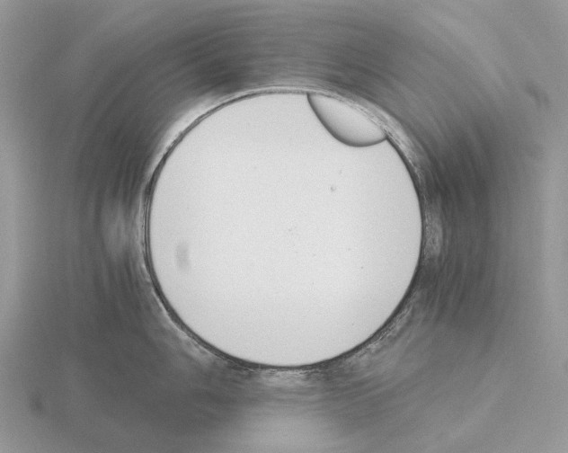 X0000115351006200912151332