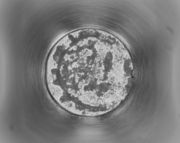 X0000115351007200912151332