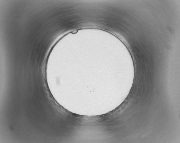 X0000115351008200912151332