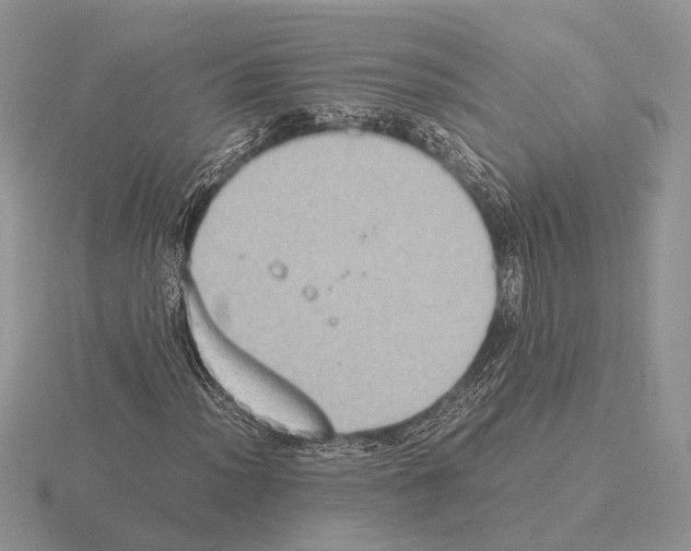 X0000115351012200912151331