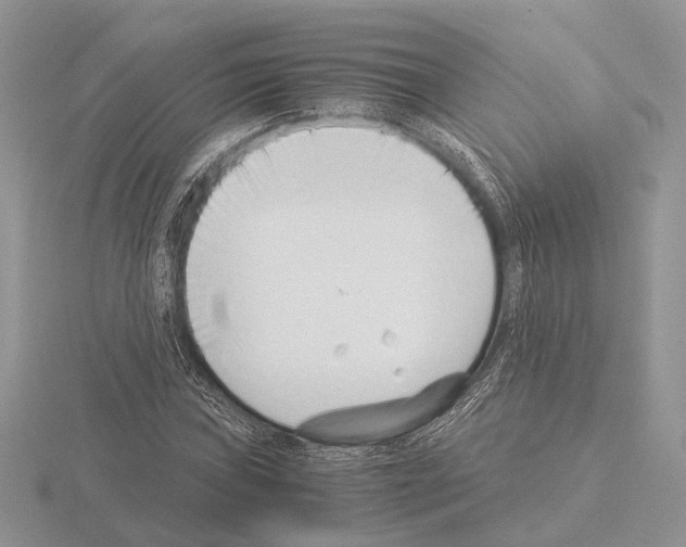 X0000115351019200912151332