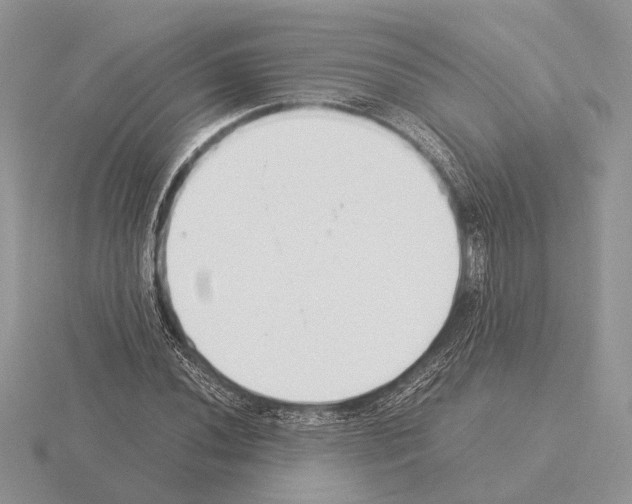 X0000115351020200912151332