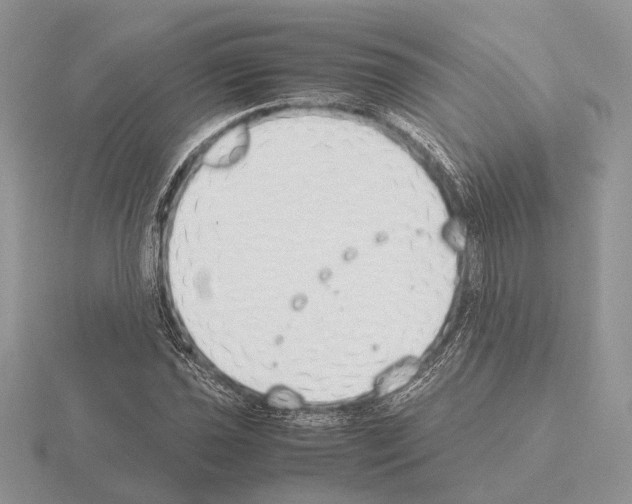 X0000115351021200912151332