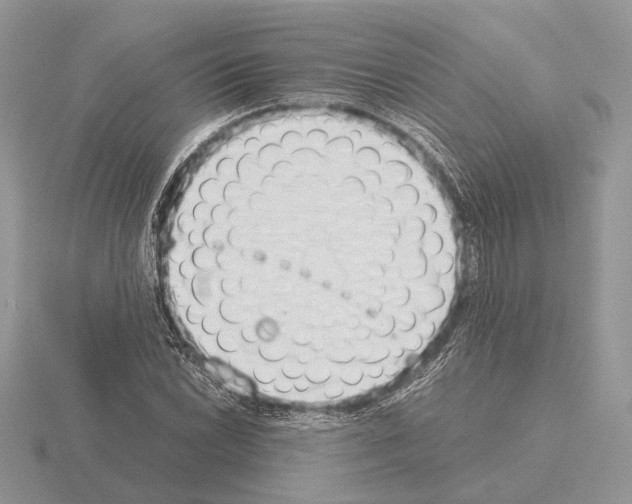 X0000115351022200912151332