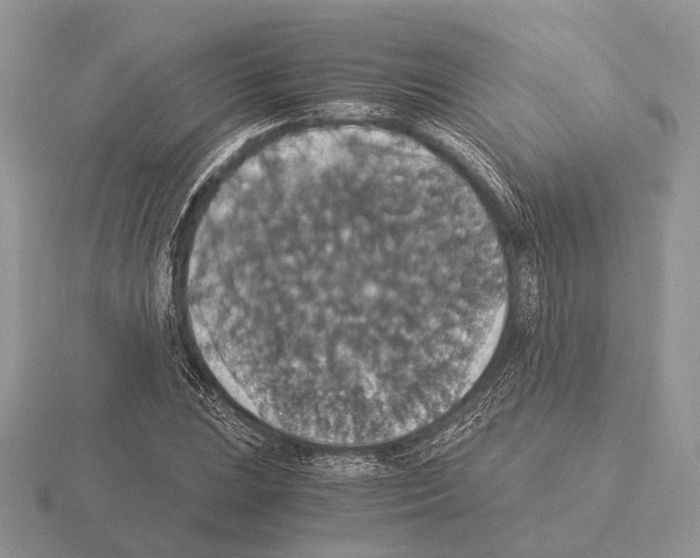 X0000115351023200912151332