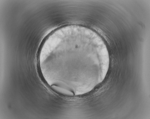 X0000115351024200912151332