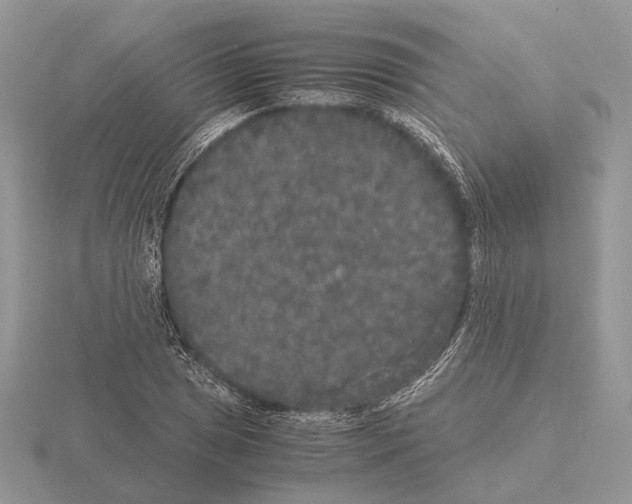 X0000115351025200912151332