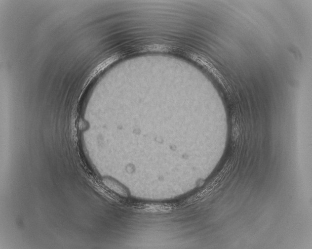 X0000115351026200912151332