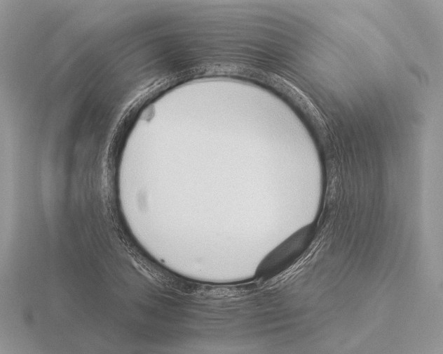 X0000115351027200912151332