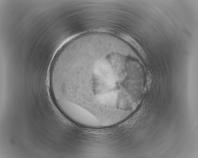 X0000115351028200912151332