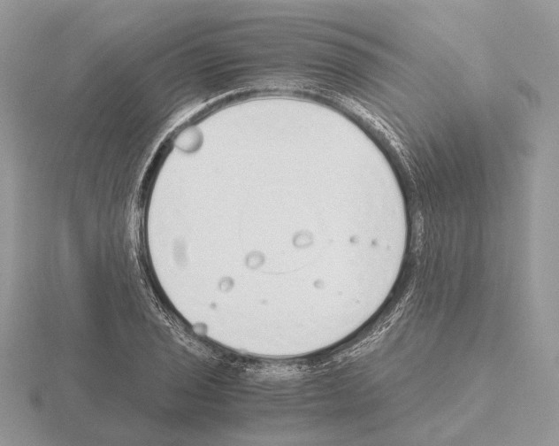 X0000115351029200912151332