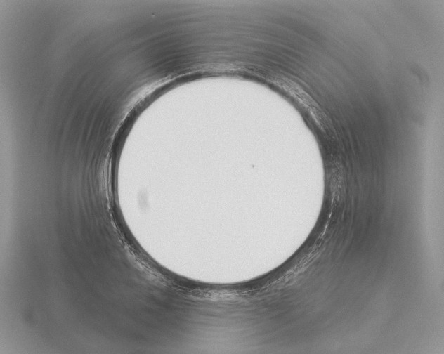 X0000115351030200912151332