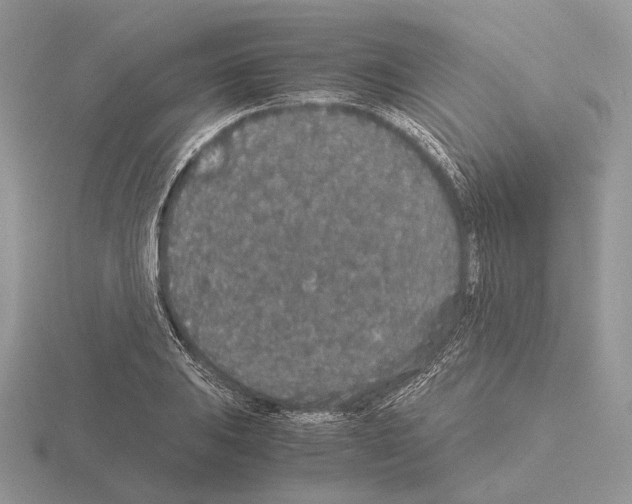 X0000115351031200912151332