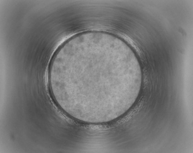 X0000115351032200912151332