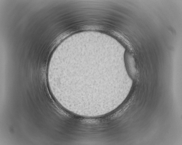 X0000115351033200912151332