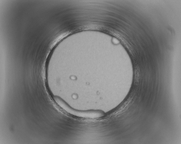 X0000115351034200912151332