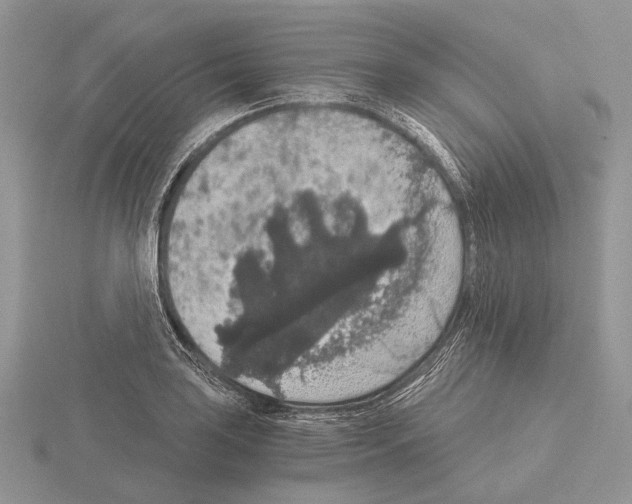 X0000115351035200912151332