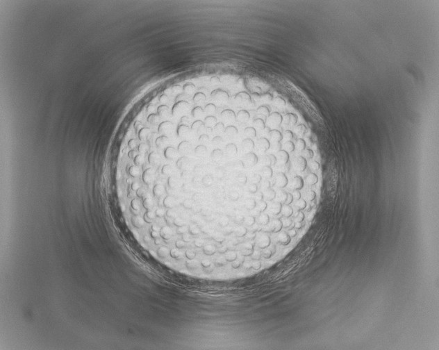 X0000115351036200912151332