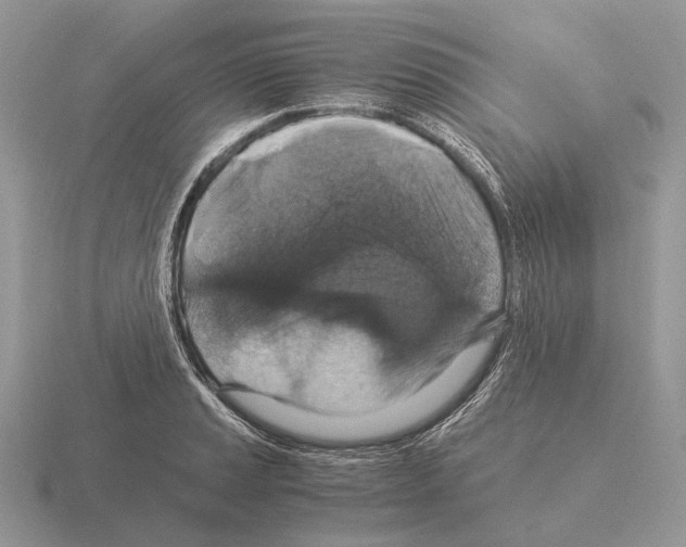 X0000115351037200912151332