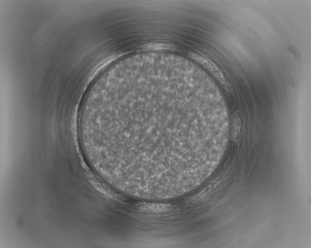 X0000115351039200912151332