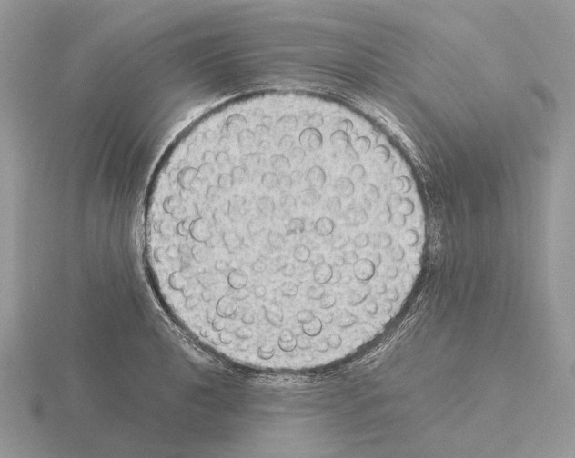 X0000115351040200912151332