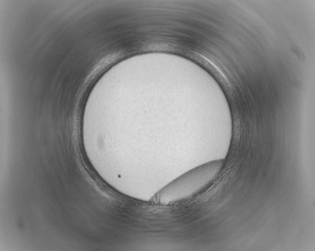 X0000115351043200912151332