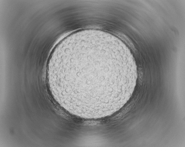 X0000115351044200912151332