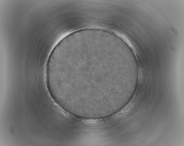 X0000115351048200912151332