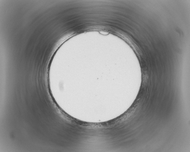 X0000115351050200912151332