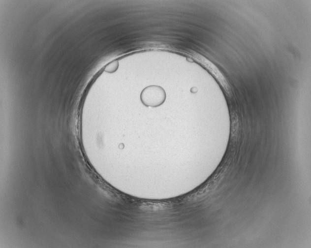 X0000115351051200912151332