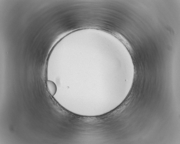 X0000115351052200912151332