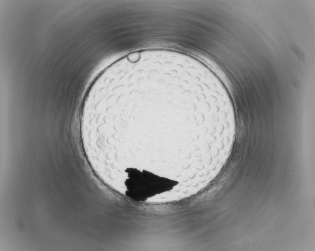 X0000115351053200912151332