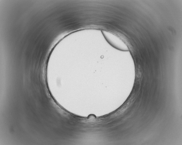 X0000115351054200912151332