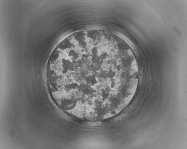 X0000115351055200912151332