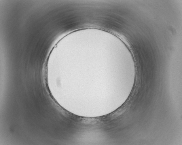 X0000115351056200912151332