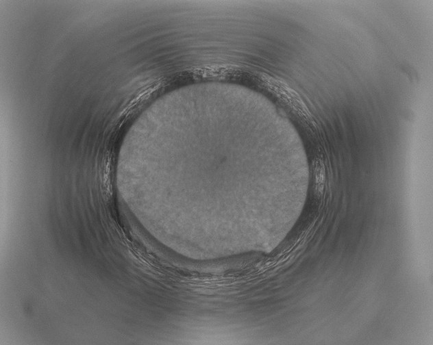 X0000115351060200912151331