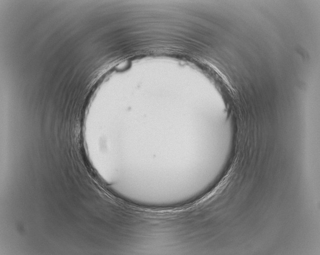 X0000115351065200912151331