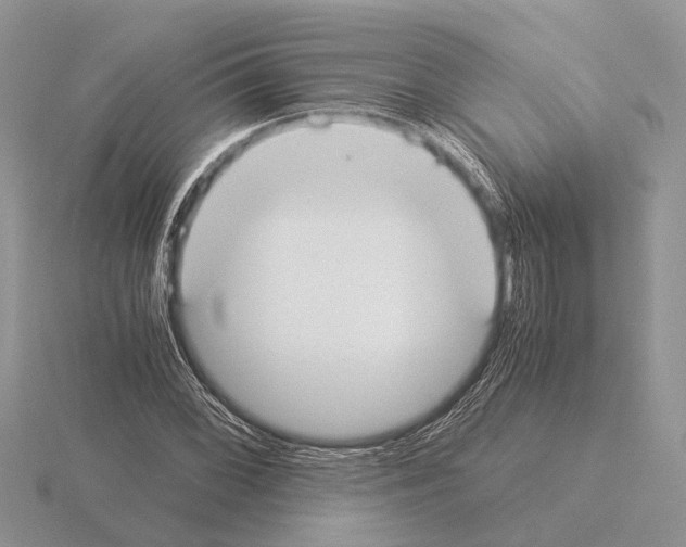 X0000115351068200912151331