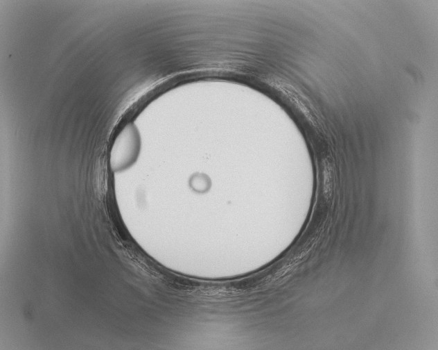 X0000115351069200912151331