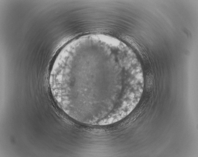 X0000115351071200912151331