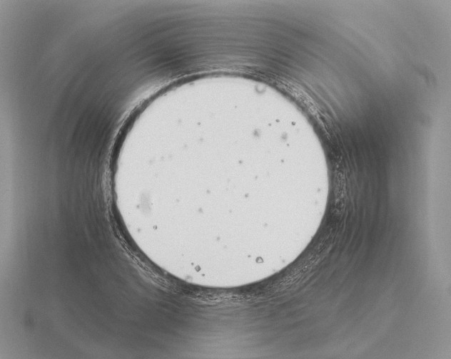 X0000115351072200912151331